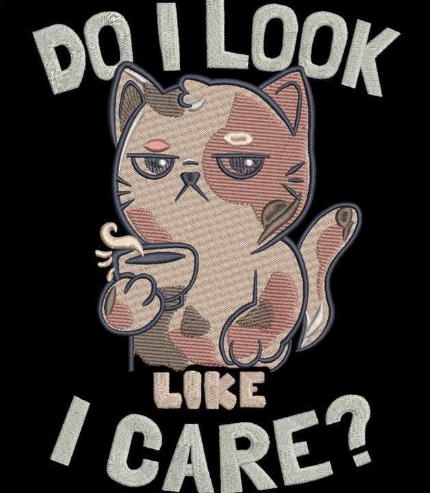 Do I Look Like I Care Cat Quote Do I Look Like I Care Cat Quote