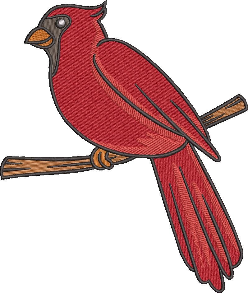 Northern Cardinal Northern Cardinal