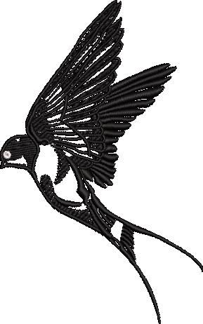 Flying Swallow Bird Flying Swallow Bird