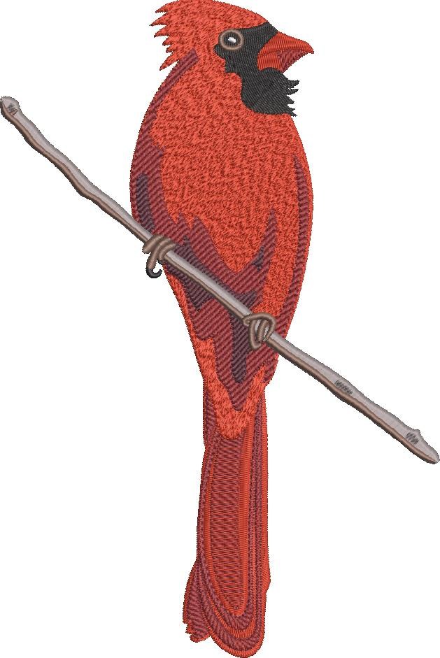 Red Cardinal Red Cardinal