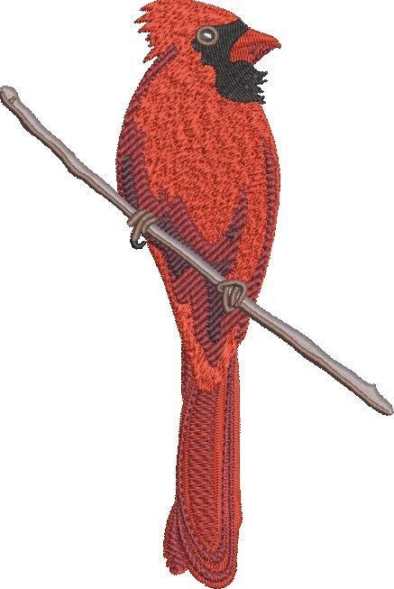 Red Cardinal Red Cardinal