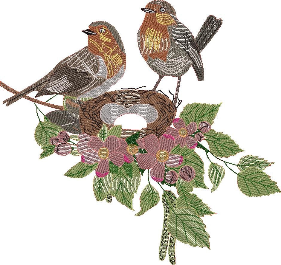 Nesting Birds Nesting Birds