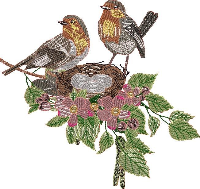 Nesting Birds Nesting Birds