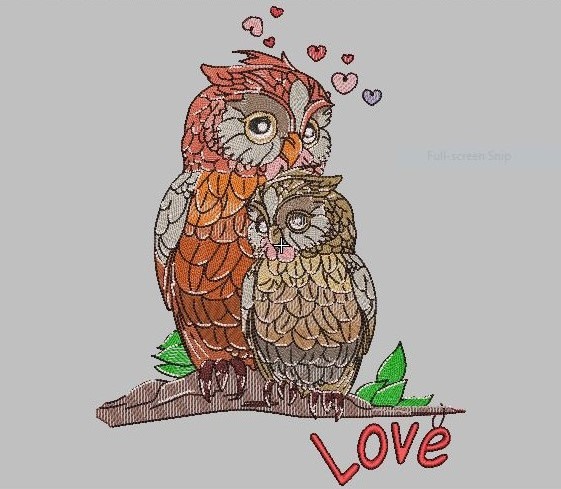 Owl's Love Owl's Love