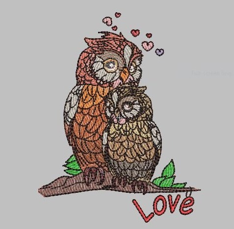 Owl's Love Owl's Love