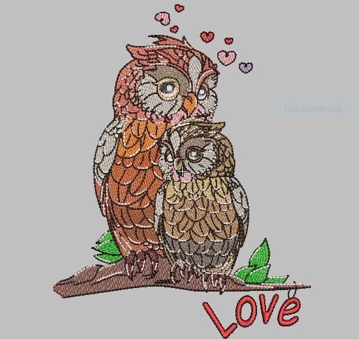Owl's Love Owl's Love