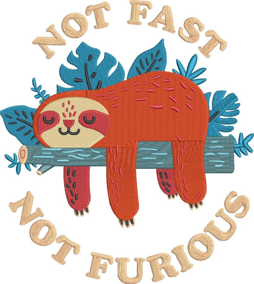 Not Fast Sleeping Sloth Not Fast Sleeping Sloth