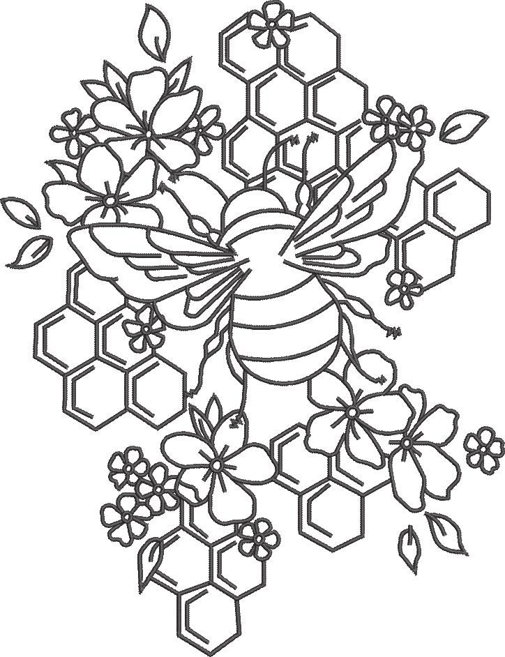 Honey Bee Comb Honey Bee Comb