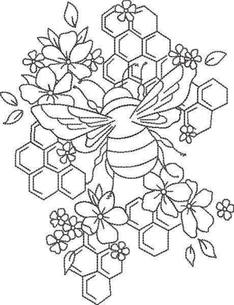 Honey Bee Comb Honey Bee Comb