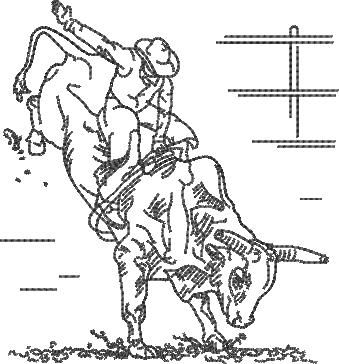 Rodeo Rodeo