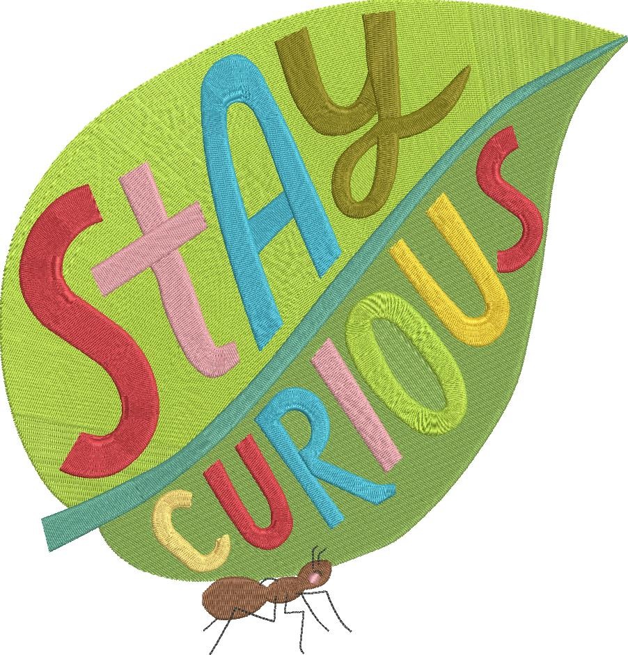 Stay Curious Stay Curious