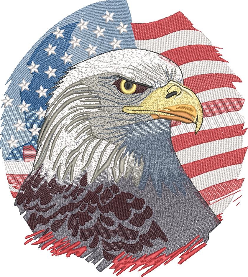 American Bald Eagle American Bald Eagle