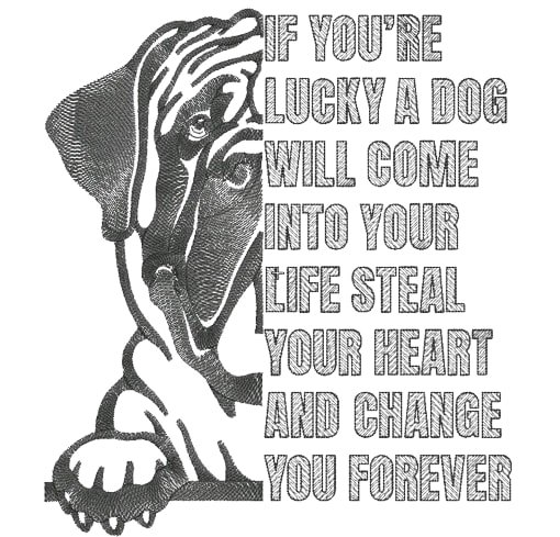 You're Lucky Dog Quote You're Lucky Dog Quote