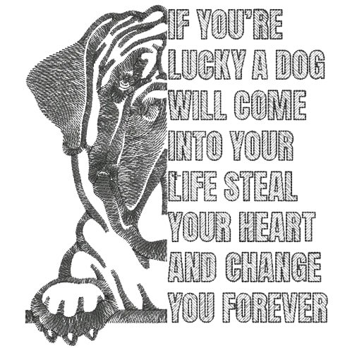 You're Lucky Dog Quote You're Lucky Dog Quote