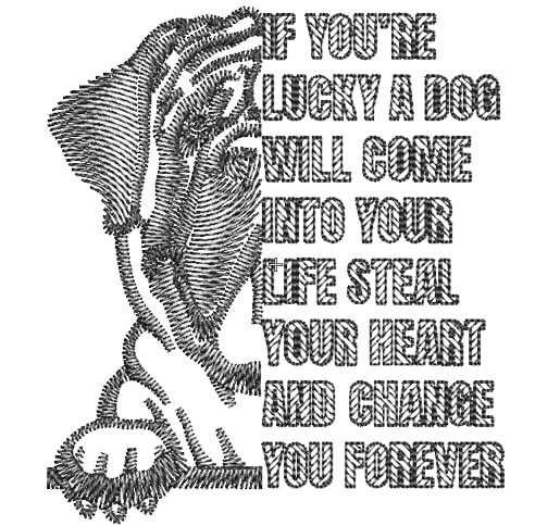 You're Lucky Dog Quote You're Lucky Dog Quote