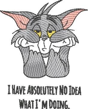 I Have No Idea Tom Cat