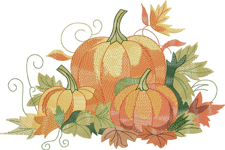 Pumpkin Patch Pumpkin Patch