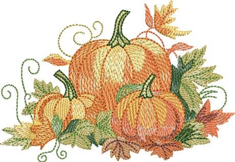 Pumpkin Patch Pumpkin Patch