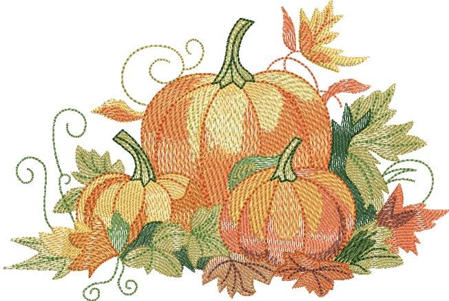Pumpkin Patch Pumpkin Patch