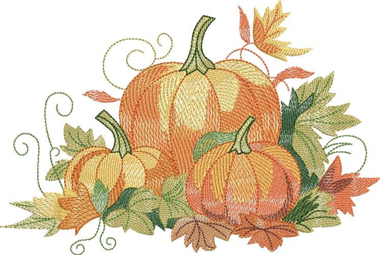 Pumpkin Patch Pumpkin Patch