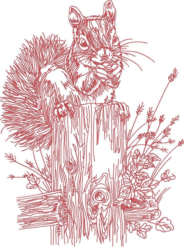 Squirrel Line Art Squirrel Line Art