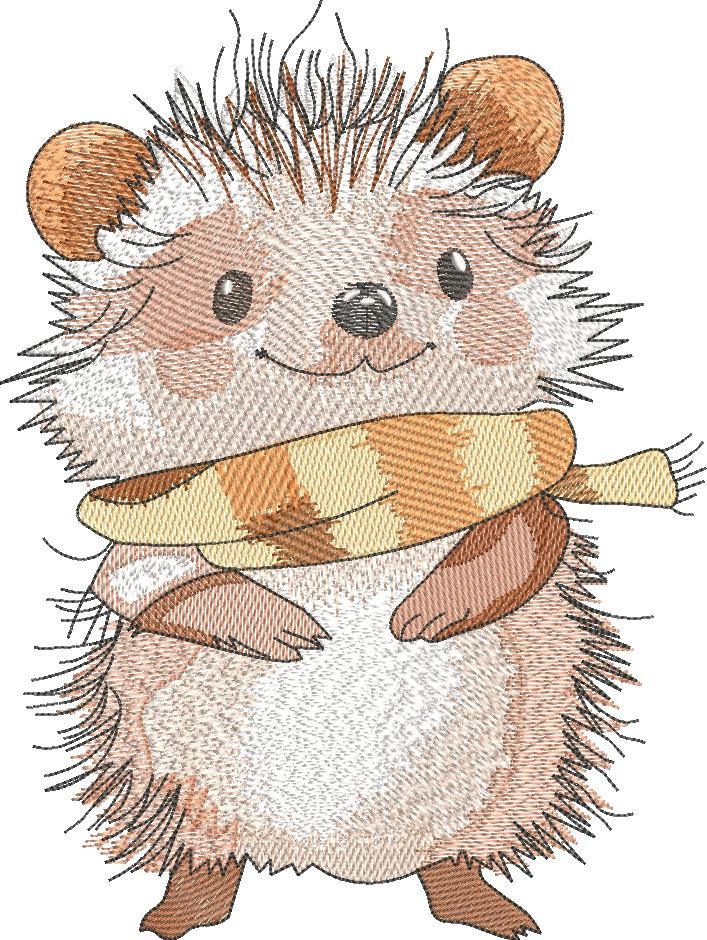 Cute Hedgehog Cute Hedgehog