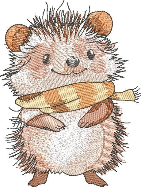 Cute Hedgehog Cute Hedgehog