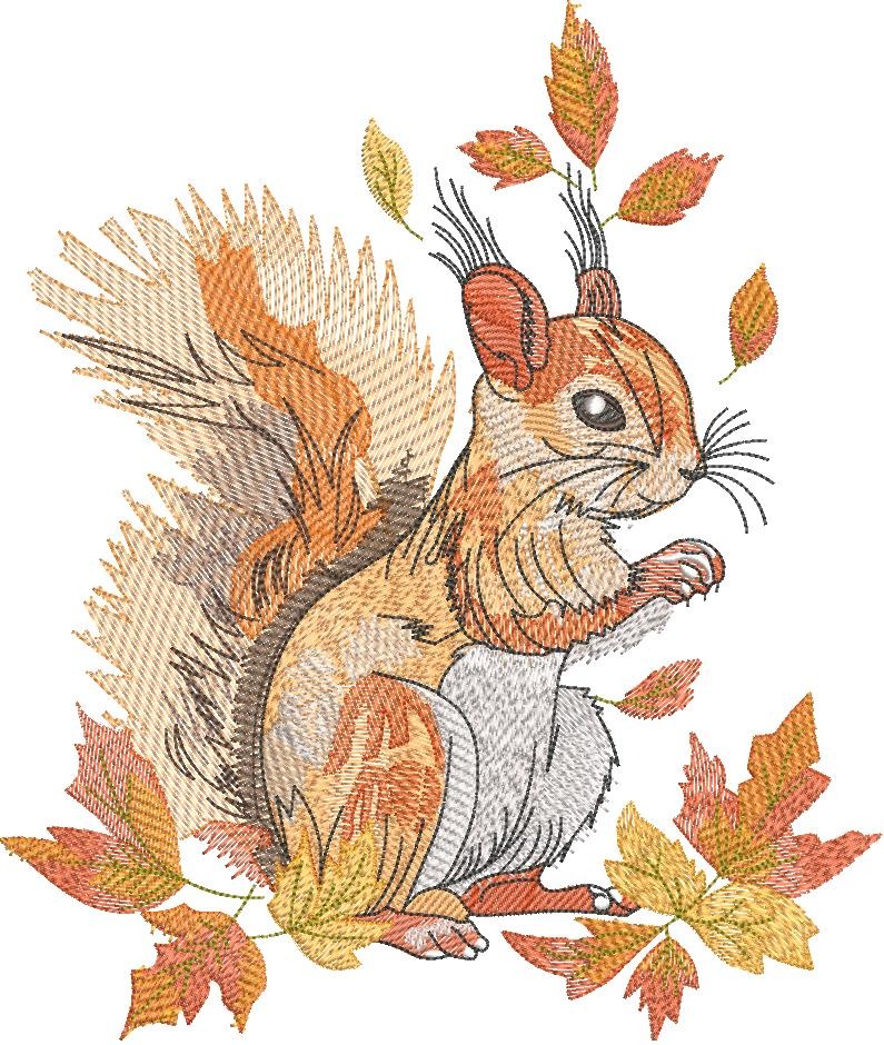Squirrel In Autumn Squirrel In Autumn