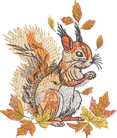 Squirrel In Autumn Squirrel In Autumn