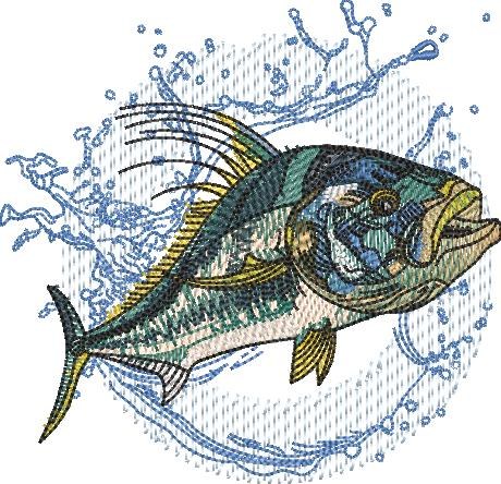 Roosterfish Roosterfish