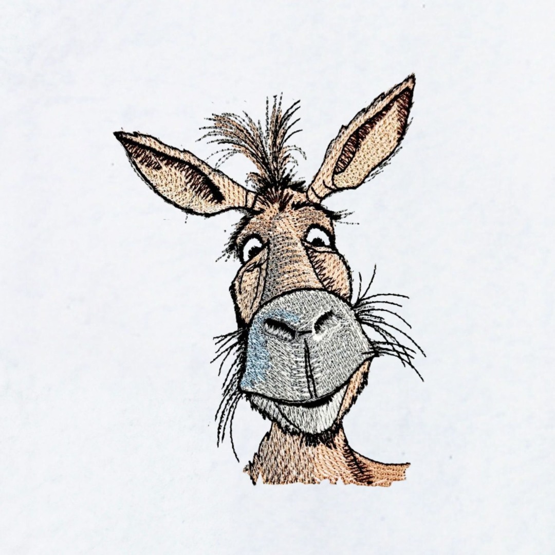 Funny Donkey Face