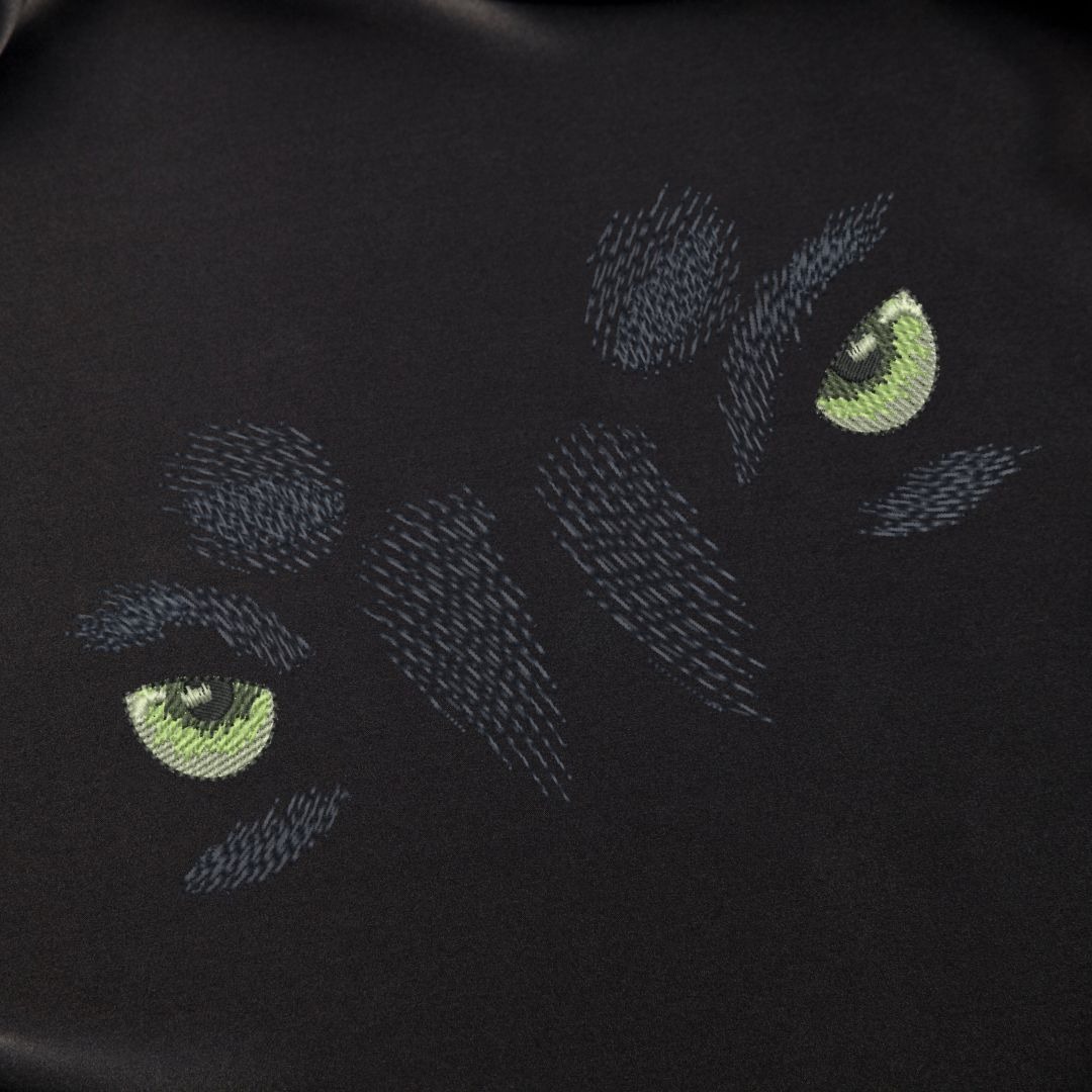 Panther Eyes Panther Eyes