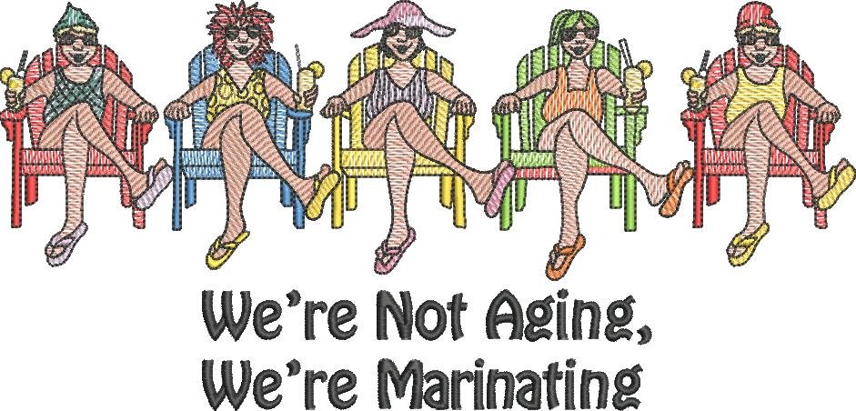 We're Not Aging Funny Ladies We're Not Aging Funny Ladies