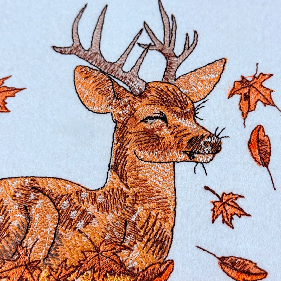 Autumn Deer Autumn Deer