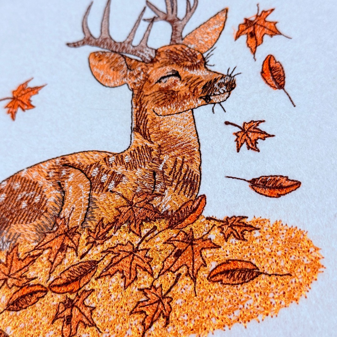Autumn Deer Autumn Deer