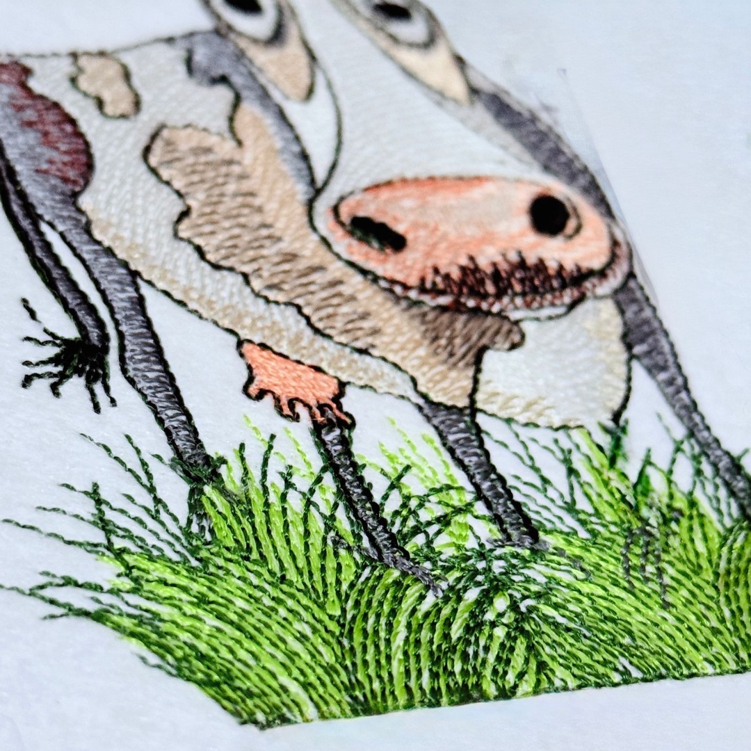 Tired Cow On Grass Tired Cow On Grass