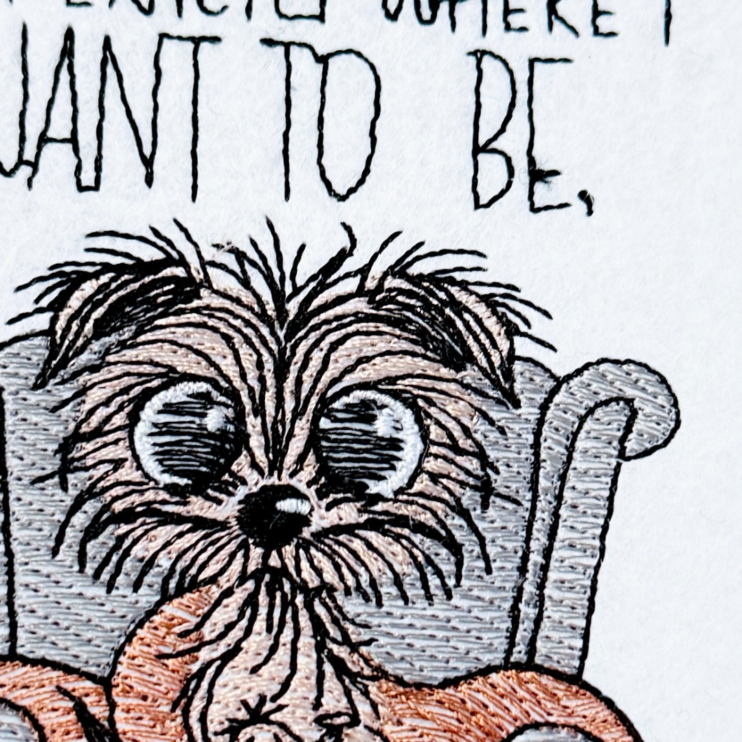 At Home Avoiding People Funny Dog At Home Avoiding People Funny Dog