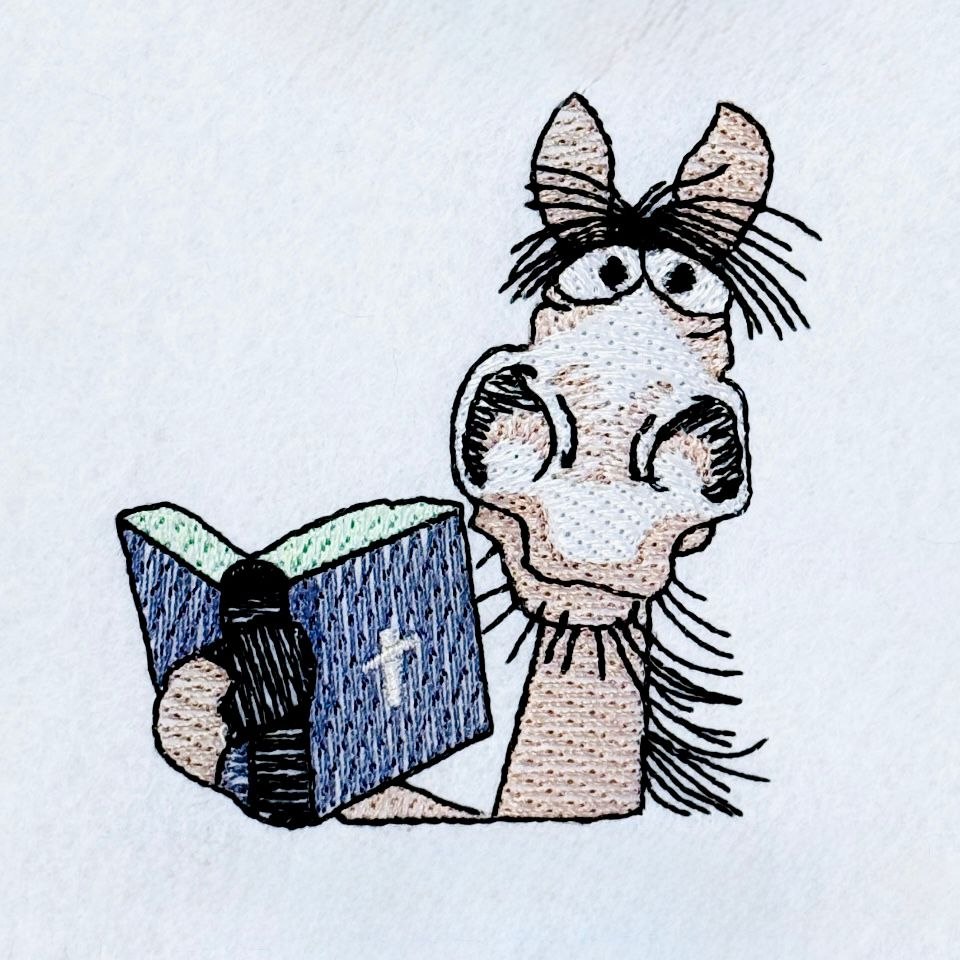 Funny Donkey With Book Funny Donkey With Book