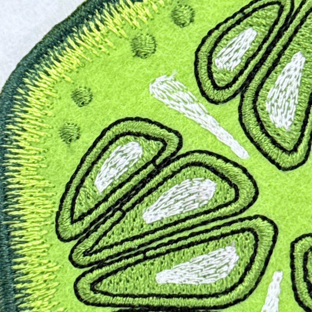 Cucumber ITH Coaster