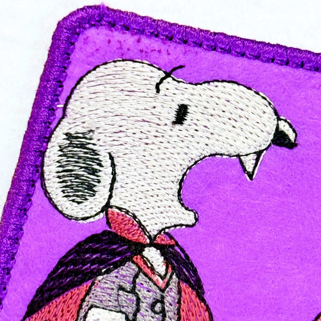 Count Dragula And Pup Coaster