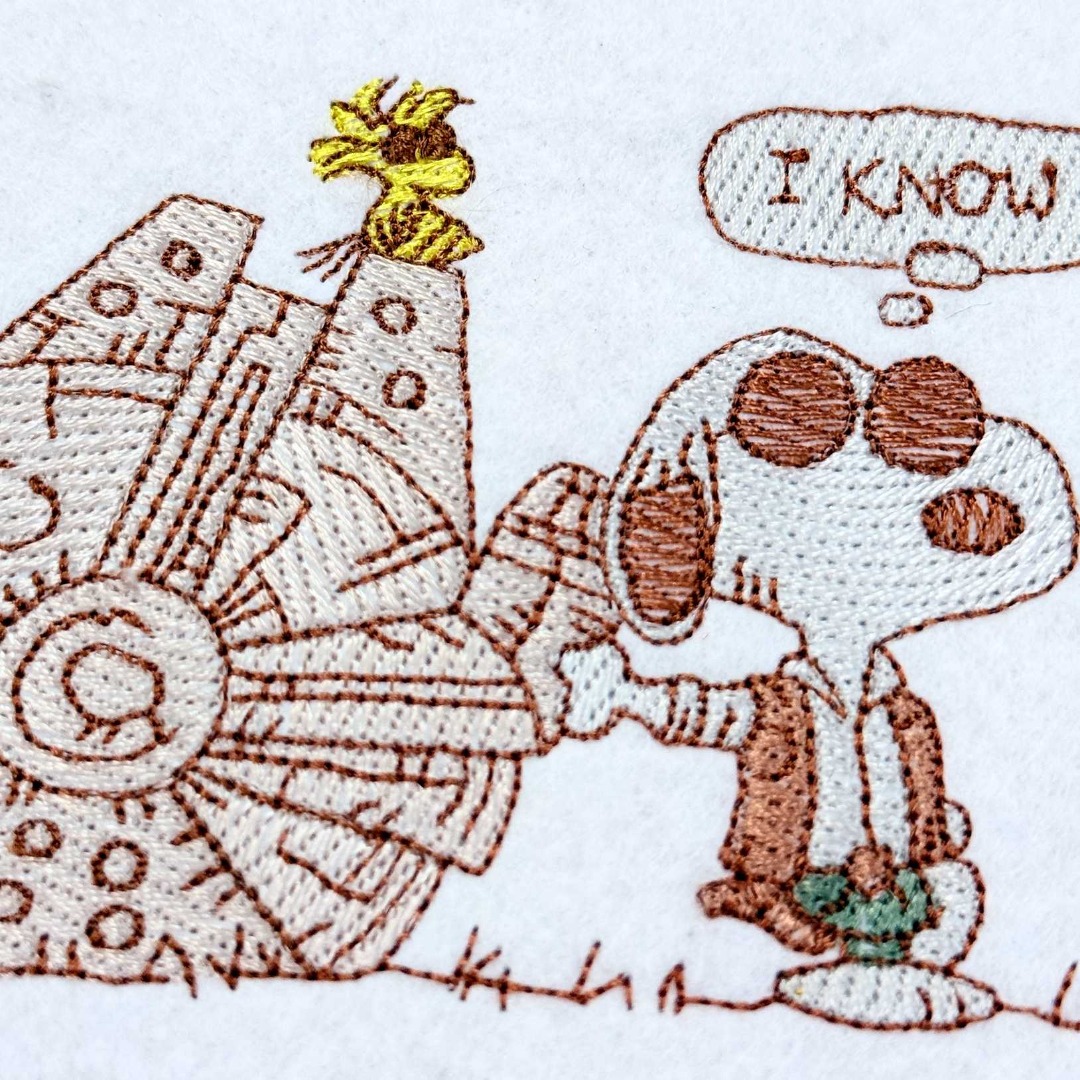 Han Doggo And Ship