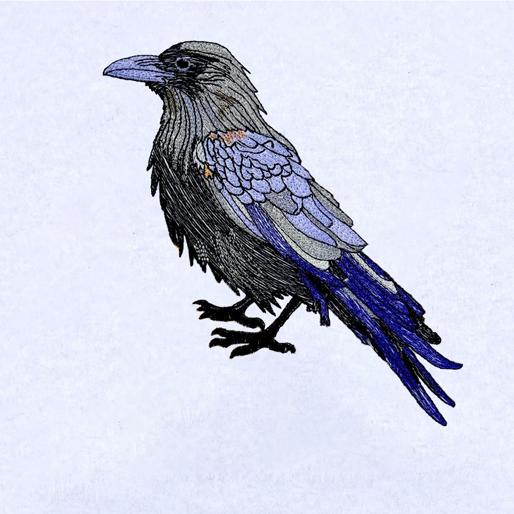 Spooky Raven Spooky Raven