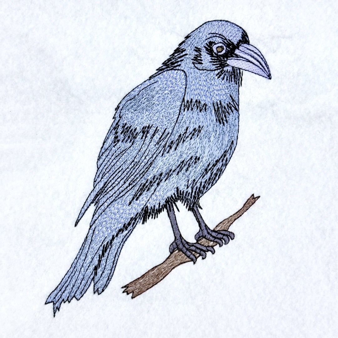 Night Raven Night Raven