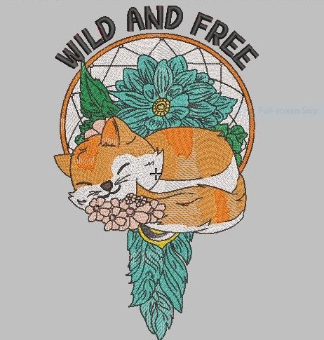 Wild And Free Fox Wild And Free Fox