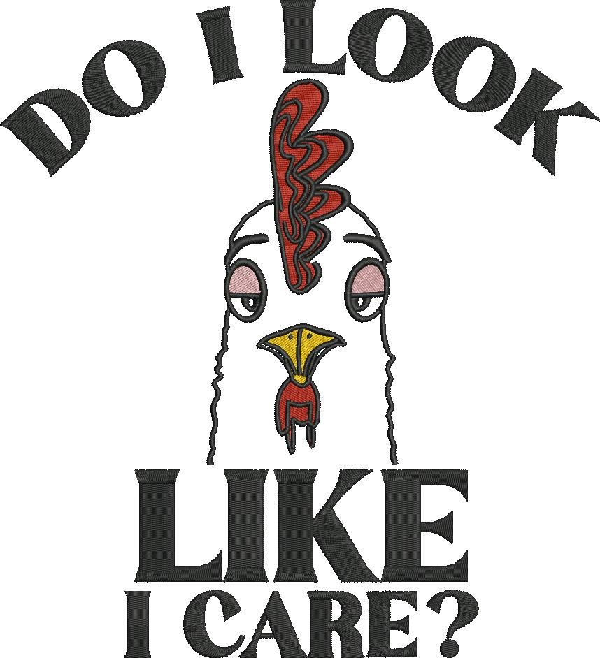 Do I Look Like I Care Do I Look Like I Care