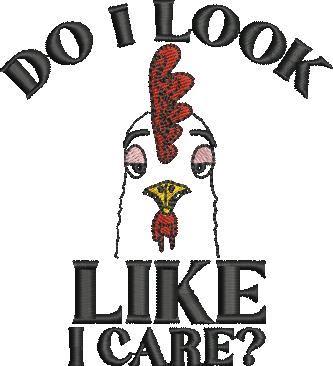 Do I Look Like I Care Do I Look Like I Care