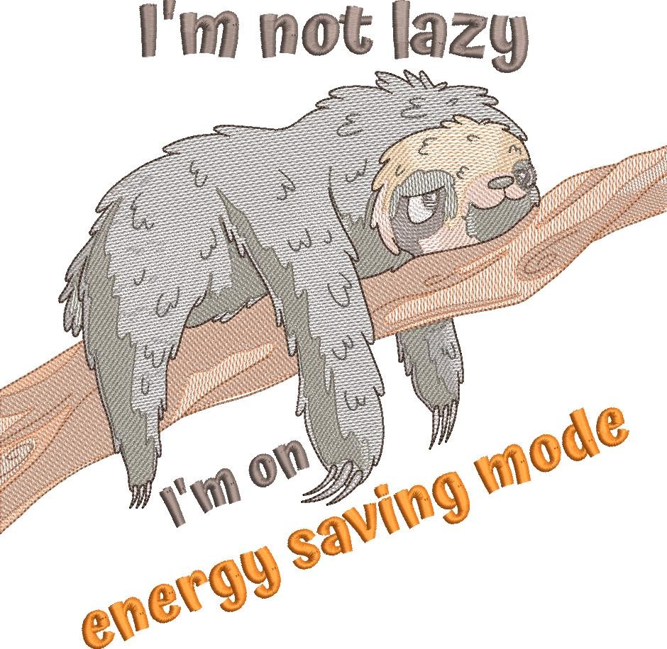 I'm Not lazy I'm Not lazy