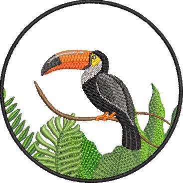Toucan Bird Toucan Bird