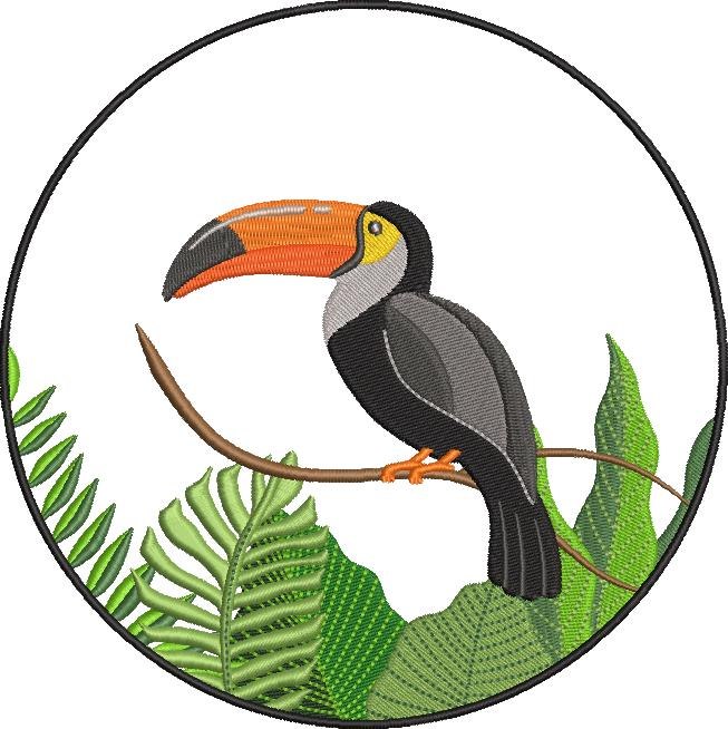 Toucan Bird Toucan Bird