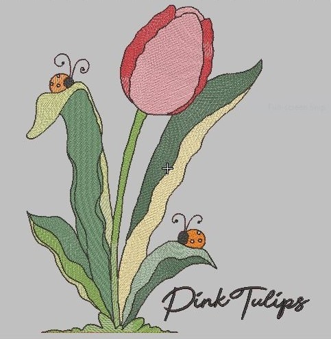 Pink Tulips Pink Tulips